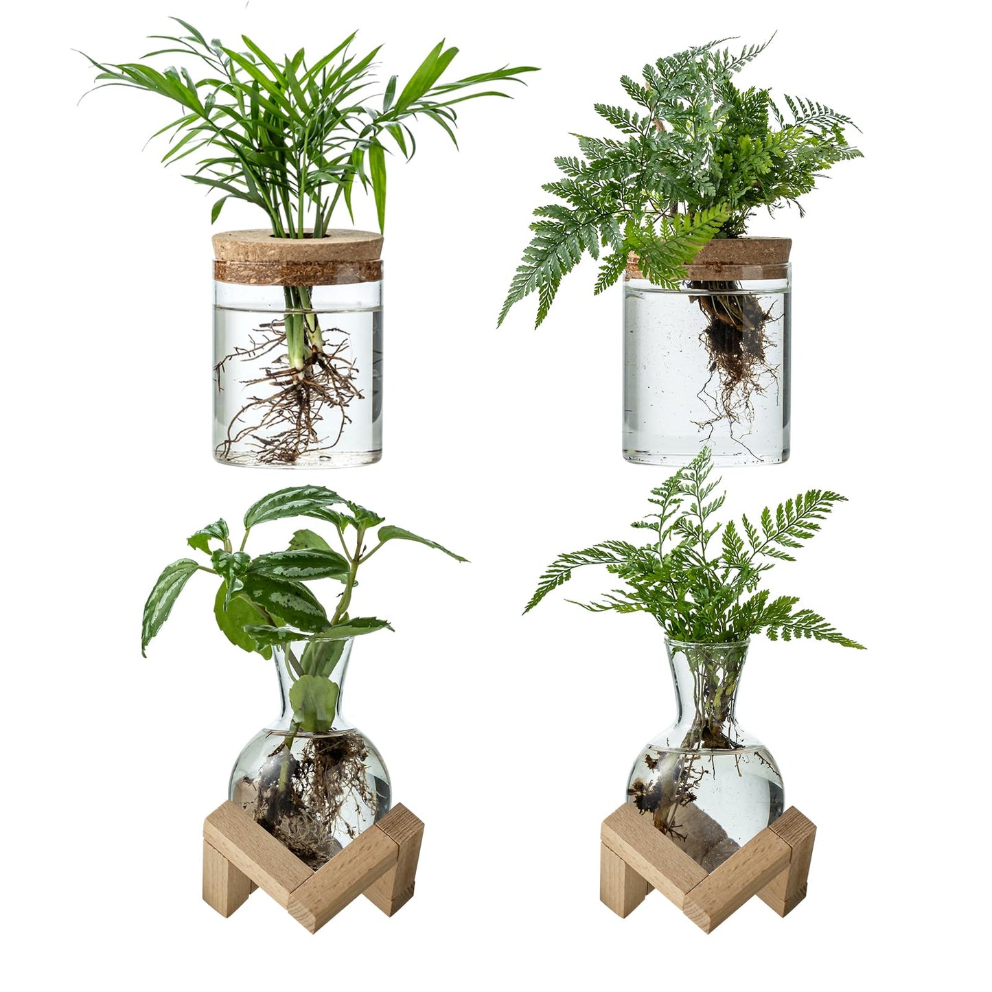 JGKYLDZ Plant Propagation Station, 2 Style Glass Planter Terrarium Set for Hydroponic Plants | Home Office Tabletop Decor, Gardening Gifts for Women, Mom, Plant Lovers (4)