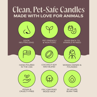 Companion Candles Celebrate the Season Pet-Friendly Scented Candle – Cookie Butter, Brown Sugar & Vanilla Fragrance - Coconut Soy Wax Candle with Wooden Wick, 50-Hour Burn Time, Made in USA, 11.8 oz