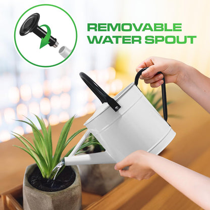 Plexon Metal Watering Can Outdoor 1 Gallon, Flower Plant Gardening Garden Large Watering Can Pot, Black Galvanized Steel Handles and Removable Spray Spout, White