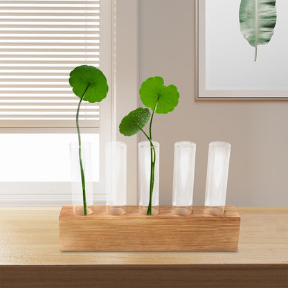 PATKAW Glass Hydroponic Plant Vase with 5-Hole Wooden Stand, Tabletop Test Tube Planter for Home Décor, Succulent Terrarium and Air Plant Propagation Station