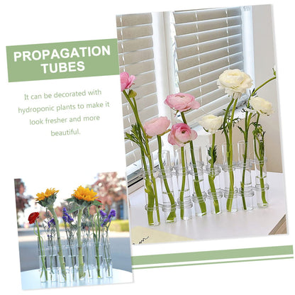 VICASKY Hydroponic Test Tube Vases 6-Piece Glass Plant Propagation Kit for Indoor Home Decor Wall Hanging Planter and Desktop Terrarium Arrangement