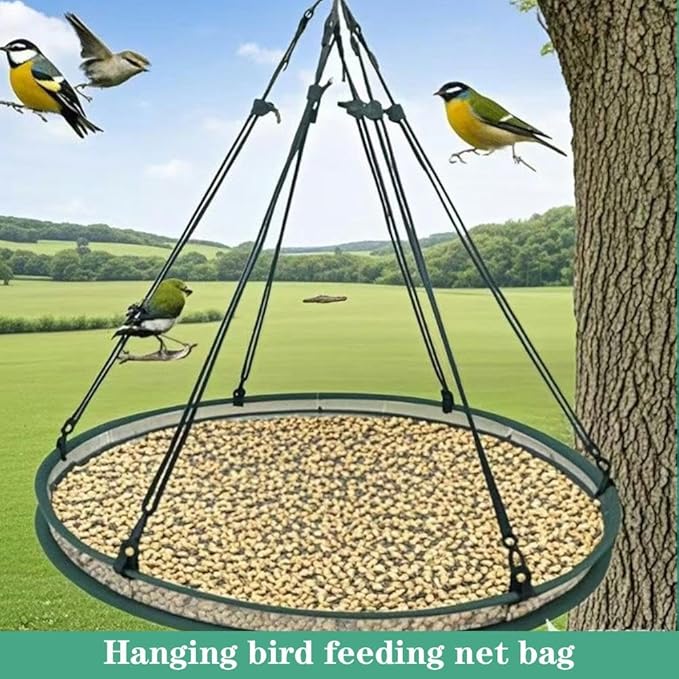 Bird Seed Catcher Tray for Hanging Bird Feeder, Large Outdoor Platform Tray with Adjustable Hanging Hoop, Deep Birdseed Holder for Hummingbird and Bee Feeders in Garden, Lawn, Backyard (L)