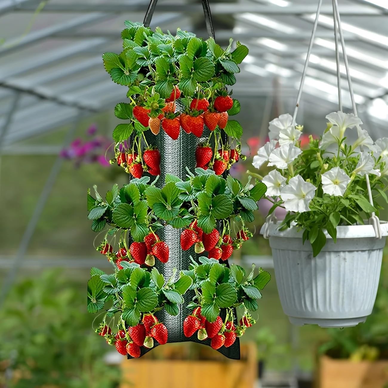 Upside Down Strawberries Grow Bags,10 Pack Garden Hanging Strawberry Grow Bag, Hanging Strawberry Planter with Planting Pockets, Hanging Planter for Strawberries,Tomatoes, Chili, Herbs, Vegetables