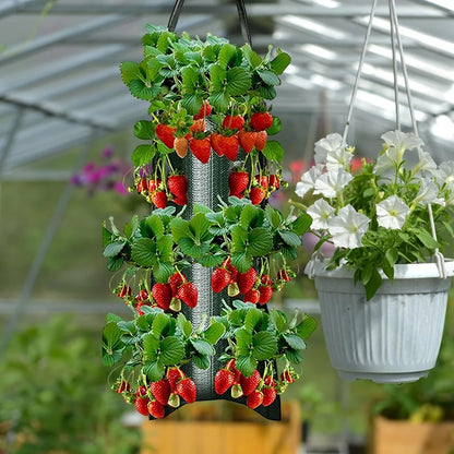 Upside Down Strawberries Grow Bags,10 Pack Garden Hanging Strawberry Grow Bag, Hanging Strawberry Planter with Planting Pockets, Hanging Planter for Strawberries,Tomatoes, Chili, Herbs, Vegetables