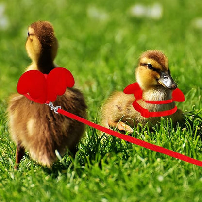 KAMA BRIDAL Duck Walking Harness and Leash Chicken Duck Outdoor Training Rope Adjustable Rope for Pet Poultry Hen Cock (S, Red)