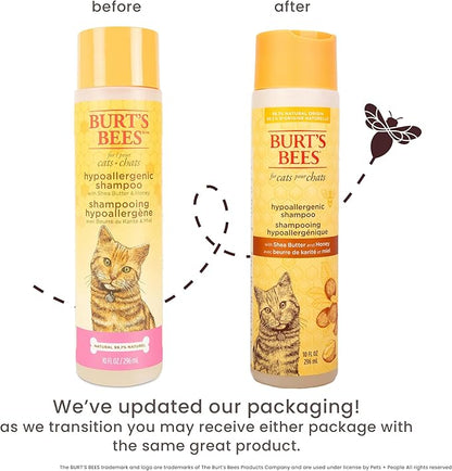 Burt's Bees for Pets Hypoallergenic Cat Shampoo with Shea Butter and Honey, Gentle Formula for Indoor Cats with Dry or Sensitive Skin, pH Balanced, Fragrance-Free, 10 Fl Oz