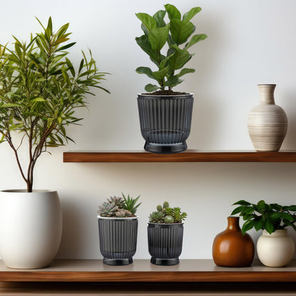 Ferrochef Set of 6 Self Watering Plant Pot 3 Sizes Plastic Double Layer Self Watering Flower Pot with Multi Mesh Drainage Holes Wicking Reservoir for Indoor Outdoor Garden Plants(Black)