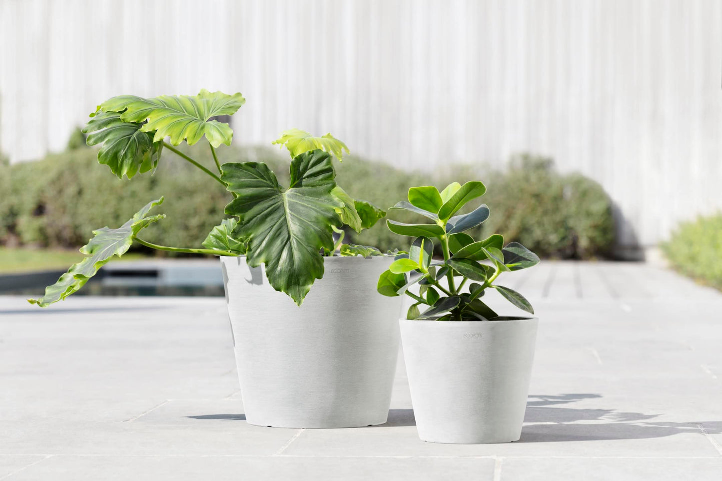 Ecopots Amsterdam Durable Modern Round Indoor/Outdoor Recycled-Based Composite Flower Pot Planter, Pure White, 8"