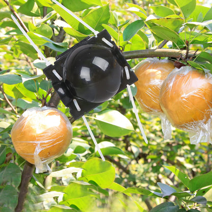 10 Pcs Plant Rooting Ball Grafting Rooting Growing Box Breeding Case for Garden Outdoor Garden Soil Medium Vase, Grafting Box