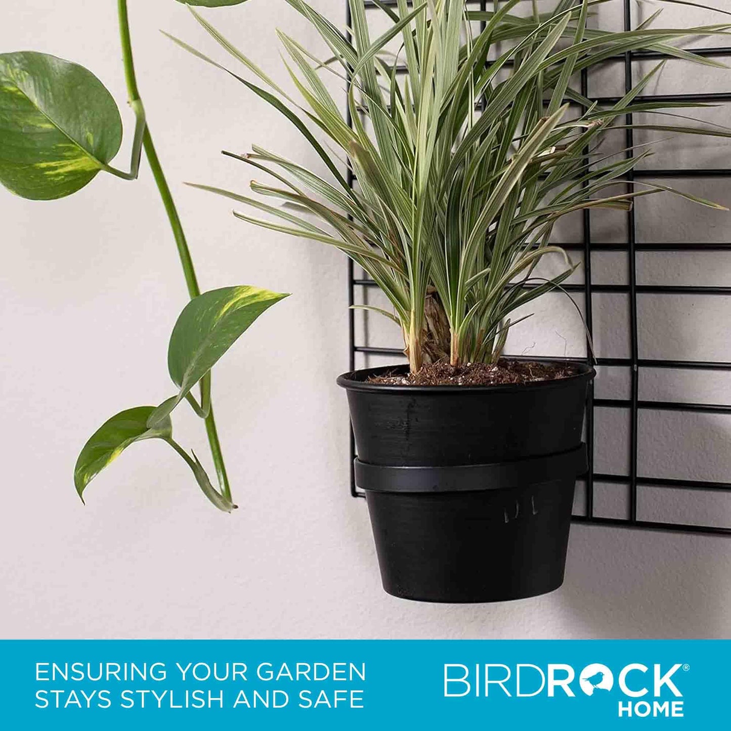 BIRDROCK HOME 6 Pot Garden Wall Grid - Flower or Succulent Planter Pots - Indoor or Outdoor Plant Organizer Rack - Black