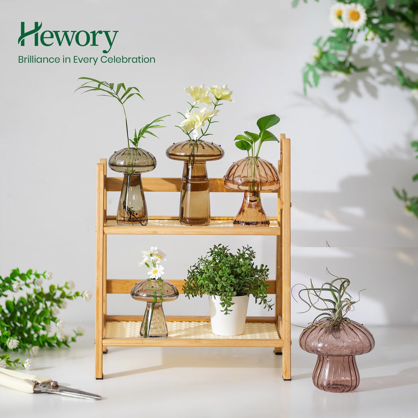 Hewory Glass Mushroom Propagation Stations: Set of 5 Unique Propagation Jars Glass Planter for Indoor Plants Home Decor - Amber Mushroom Vase Christmas Birthday Gifts for Plant Lovers Women Girls