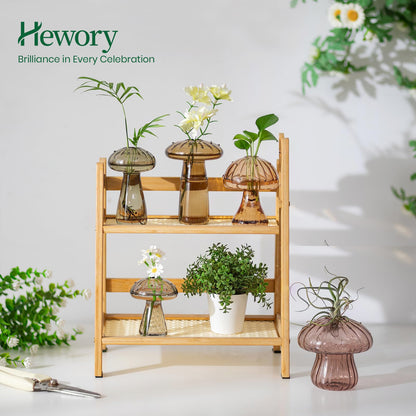 Hewory Glass Mushroom Propagation Stations: Set of 5 Unique Propagation Jars Glass Planter for Indoor Plants Home Decor - Amber Mushroom Vase Christmas Birthday Gifts for Plant Lovers Women Girls