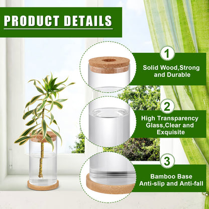 Rtteri 6 Pcs Glass Propagation Stations for Plants, Desktop Flower Vases, Plant Terrarium Desktop Glass Planters with Lid and Wooden Saucer for Home Decoration(2.56 x 4)