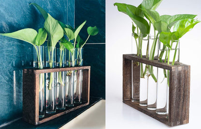 PACDONA 5 Tube Wooden Plant Propagation Station, Tabletop Glass Terrarium Holder for Cuttings Hydroponics, Home Office Desk Decor Gift for Women Mom Plant Lovers, Brown