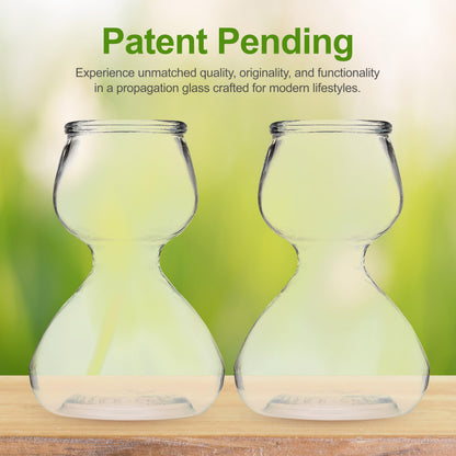 Garden Guru Plant Propagation Stations - Clear Glass Bud Vases Set of 2 - Mini Vases for Wedding Centerpieces, Cafe Décor, Tea Shop Displays - Small Hydroponic & Flower Vase