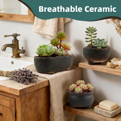 ginojex Retro Ceramic Succulent Garden Pots Small Plant Planter Container with Drainage Set of 5 for Home Office Decor