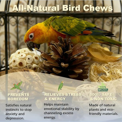 Bird Toys - Sola Ball Foraging Box, 10 Natural Ingredients | Chewing and Shredding Parrot Toys | Ideal for Parakeets/Cockatiels/Conures/Lovebirds and Small to Medium Birds