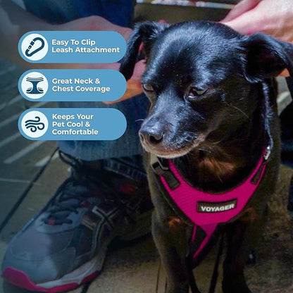 Voyager Step-in Pet Harness - All Weather Mesh, Adjustable Step in Harness for Cats and Dogs by Best Pet Supplies - Fuchsia/Black Trim, S