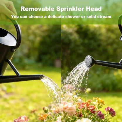Watering Can for Outdoor&Indoor Plants，1.5 Gallon（5.7L） Metal Watering Can with with Removable Spout，Large Galvanized Steel Garden Flower Water Can Watering Pot with 2 Handles ，Black