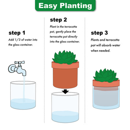 Phoenix Vine 4 Inch Self Watering Planter Pot, Terracotta Clay Pot with Glass Reservoir for Indoor Plants, Herbs, Flowers, Set of 3, 52-A-E-3