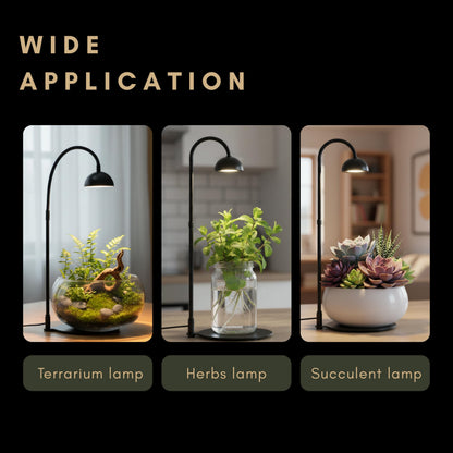 BoostGro Desktop Grow Lamp Terrarium Light Plant Light on Table with Flexible Gooseneck Lamp for Terrarium Kitchen Vetegable Succulent Lamp with Auto Timer 3/6/12Hrs, 4 Brightness Levels (Black)