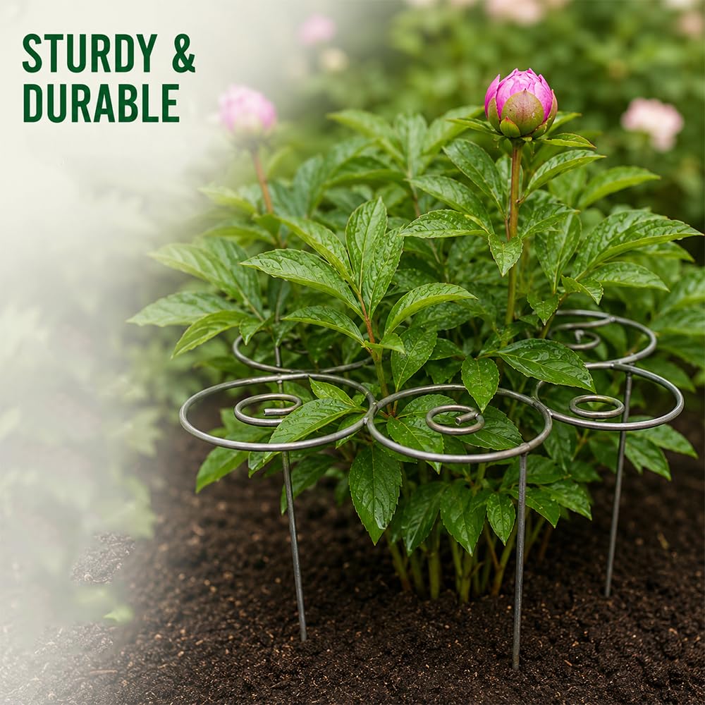 jenvd Metal Plant Support Ring for Garden Flowers, Stackable Plant Stakes for Indoor Outdoor Pots (L)
