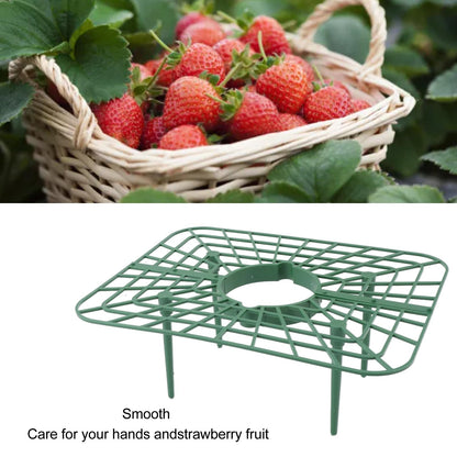 Sunicon 20Pcs Strawberry Supports, Detachable PP Waterproof Reusable Square Strawberry Growing Racks Plant Support Strawberry Stand Holder for Soil Planting Indoor Pots