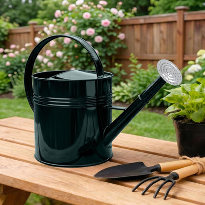 LONGRUN 2.5 Gallon Dark Green Metal Watering Can Primary Colors Nozzle for Plants and Garden with Removable Spout, Made of Galvanized Iron