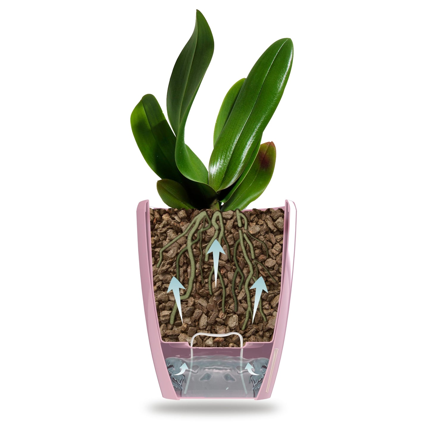 DECOPOTS - Self Watering Orchids Pots Set of 3 - Wicking Planter for Flowers - Water Level Indicator (5.9" Diameter, White)