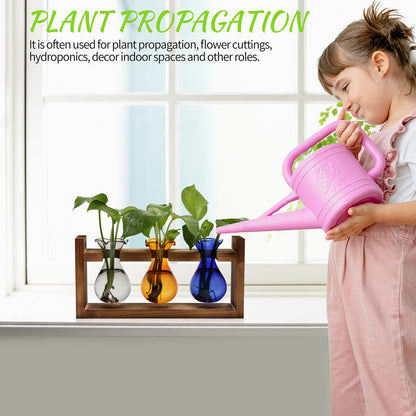 Plant Propagation Station Plant Terrarium Unique Birthday Gifts for Women Home Office Decor Planter with Wooden Stand - 3 Bulb Glass Vase