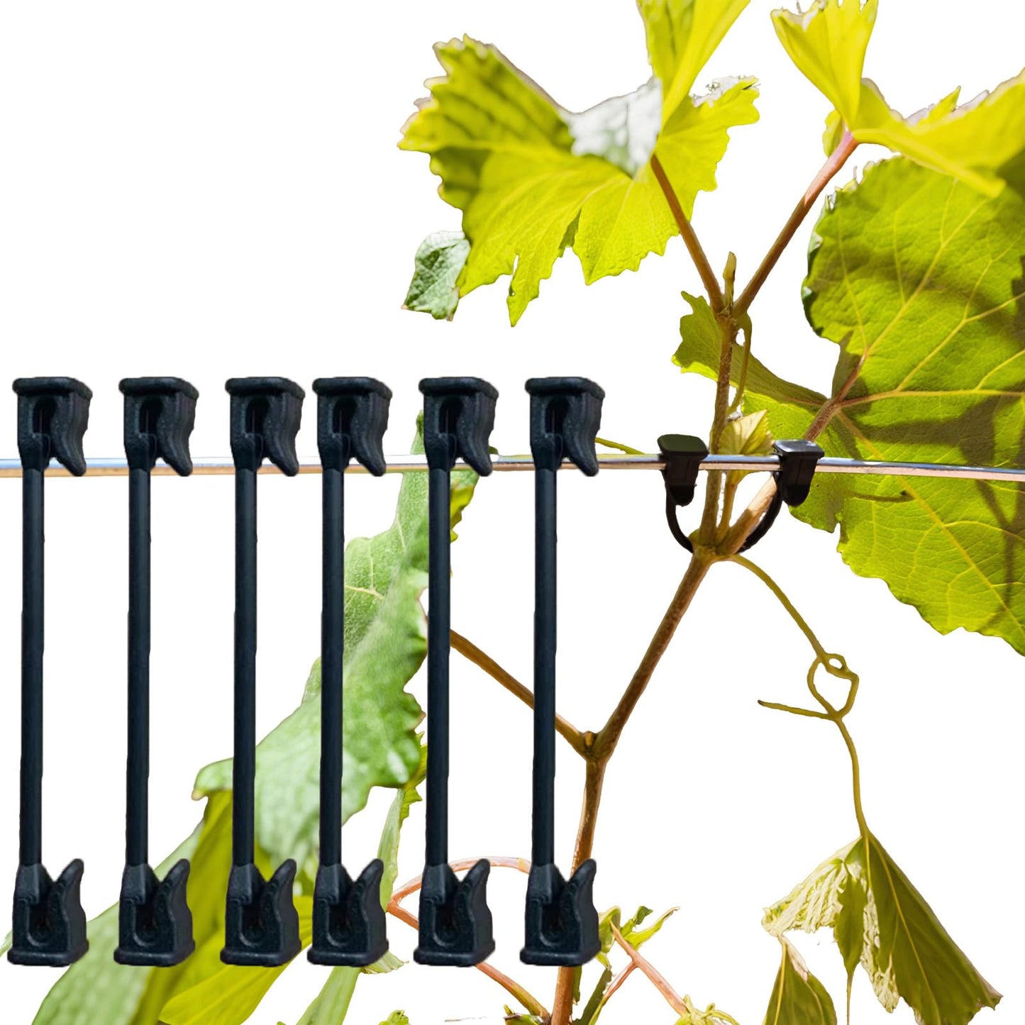 Plastic Vines ClipTomato, Grape, Raspberry, Kiwi Vine Clip Garden Plant Support Clip Vegetable Fixed Hook Plant Lock Tomato, Grape, Raspberry, Kiwi Vine Buckle Suitable for 9#-12# Thread(200 PCS)