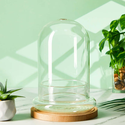 Perthlin 1 Pcs 5.9 x 7.9 Inch Glass Terrarium Clear Terrarium Planter Container Glass Dome Cloche with Airhole and Base for Plant Flower Home Tabletop Display Centerpiece, Plants Not Included