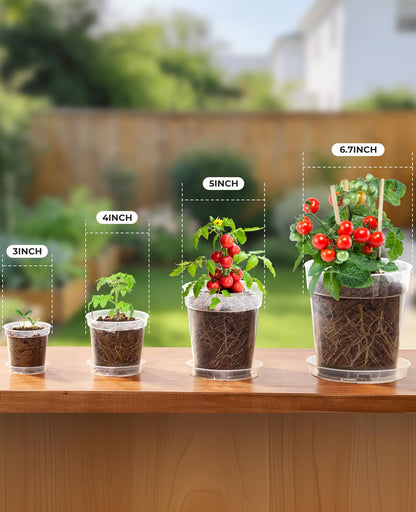 homenote 6.7 Inch Clear Nursery Pots 14 Pack with Drainage and Plant Saucers, Rigid High Transparency Plastic Nursery Pots for Plants,Thick Walled Planter Nursery Pots with Upgraded Drainage Holes