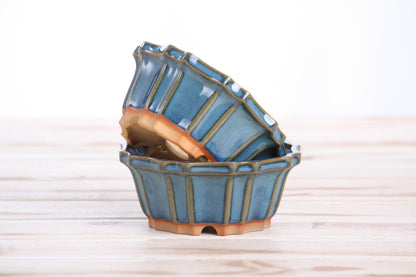 Willow Bonsai Ceramics Flower Design Bonsai Pot, 4.5inch Diameter, Plant Container, Succulant Pot, High Fired Ceramic Stoneware, Frost Proof, Handmade (Peacock 2025)