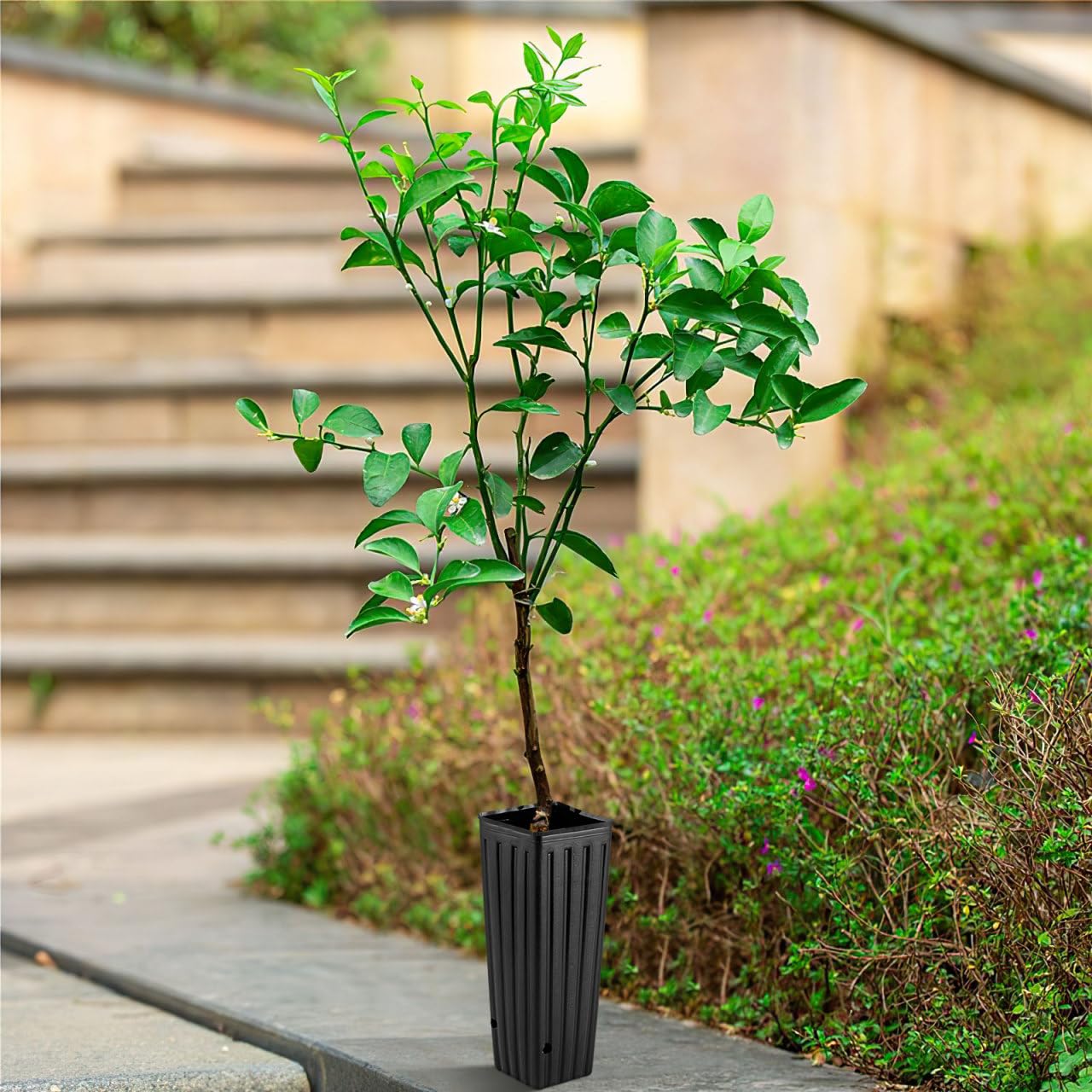 HANABASS 50 Pcs Tree Nursery Pots Planter Plastic Starting Pots with Drainage Holes Deep Nursery Treepots for Outdoor Garden Balcony, 11.8" Tall