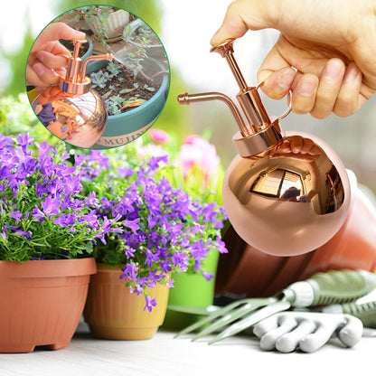 Lianshi Stainless Steel Plant Sprayer, Small Watering Can Plant Misting Bottle, Modern Gardening Tools for Indoor Potted Plants Watering and Misting