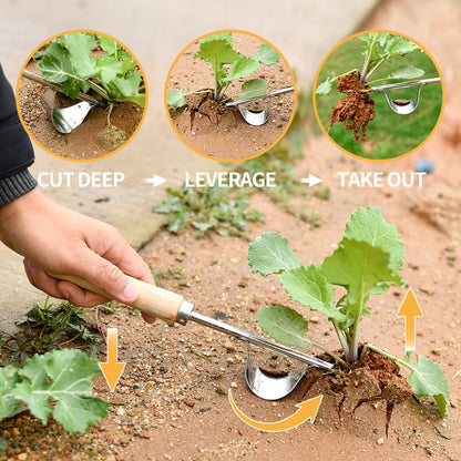GANCHUN Weed Puller Tool, 3 Pack 2025 New Garden Stainless Steel Weeder Tool Hand Weeder Tool,Multi-Purpose Weed Remover Tool Weeding Tools for Gardening(Wooden Handle)
