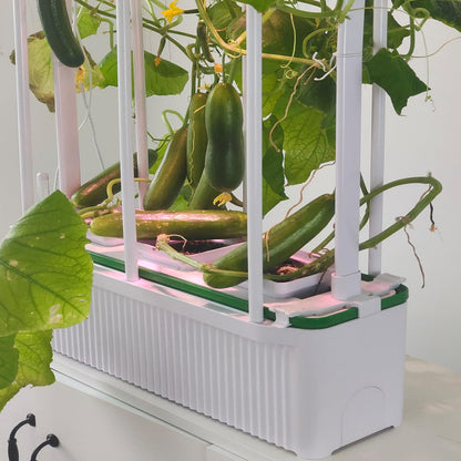 E SUPEREGROW Large Hydroponics Growing System kit with Trellis,Smart Indoor Hydroponic Gardening System with LED Grow Light, Indoor Hydroponic Grow Kit for Tomato,Pepper,Cucumbers(7L,Pump)