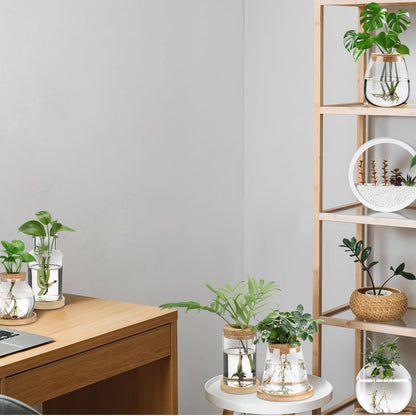 Honeydak 6 Pcs Plants Propagation Stations Planter Terrariums with Wooden Lid and Bamboo Stand Desktop Glass Propagation Vases for Plant Growing Hydroponic Home Office Tabletop Decoration