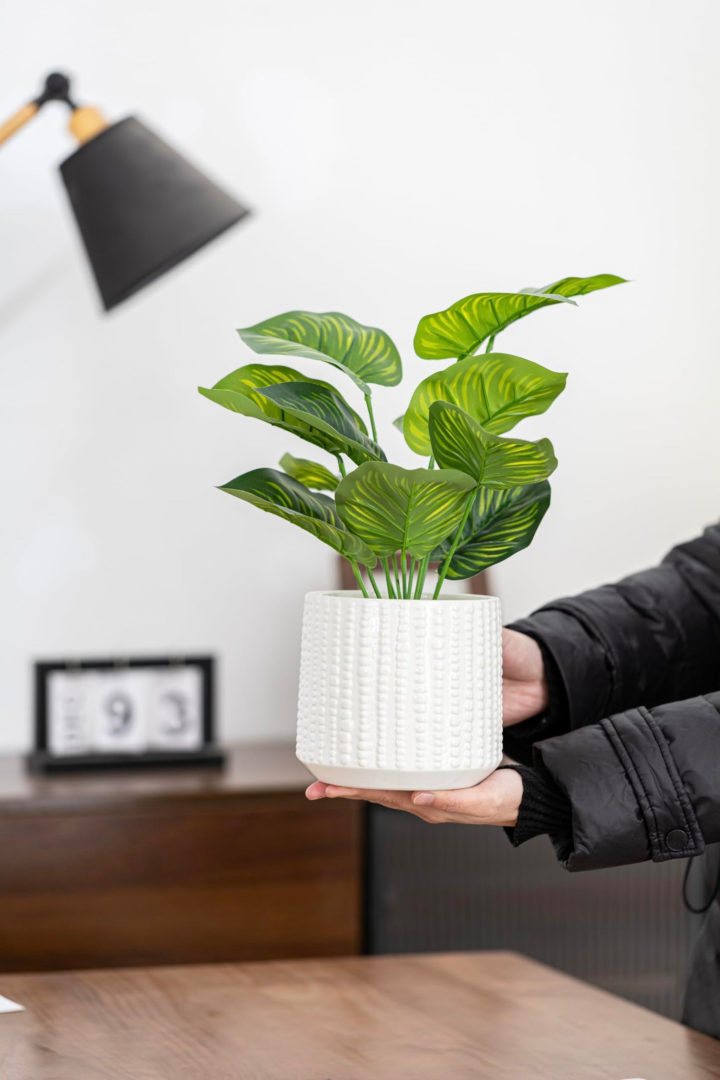 Arktiva Ceramic Planter Pot with Drainage Hole, 5 Inch Dia, Indoor and Outdoor, Home Patio Garden, Plants Flower Succulent, Textured Round (White)