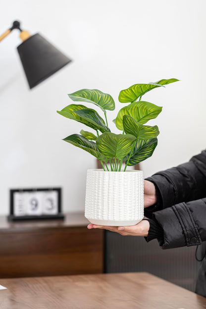 Arktiva Ceramic Planter Pot with Drainage Hole, 5 Inch Dia, Indoor and Outdoor, Home Patio Garden, Plants Flower Succulent, Textured Round (White)