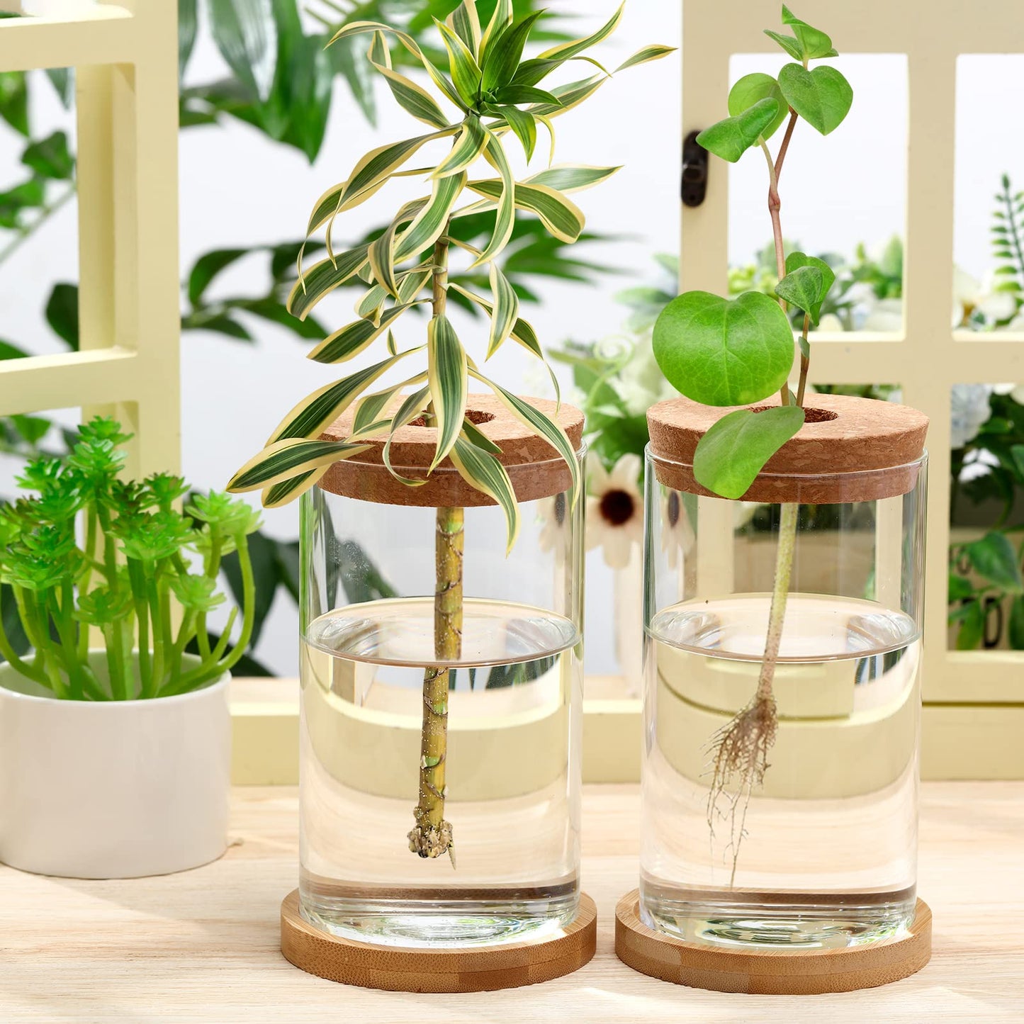 Rtteri 6 Pcs Glass Propagation Stations for Plants, Desktop Flower Vases, Plant Terrarium Desktop Glass Planters with Lid and Wooden Saucer for Home Decoration(2.56 x 4)