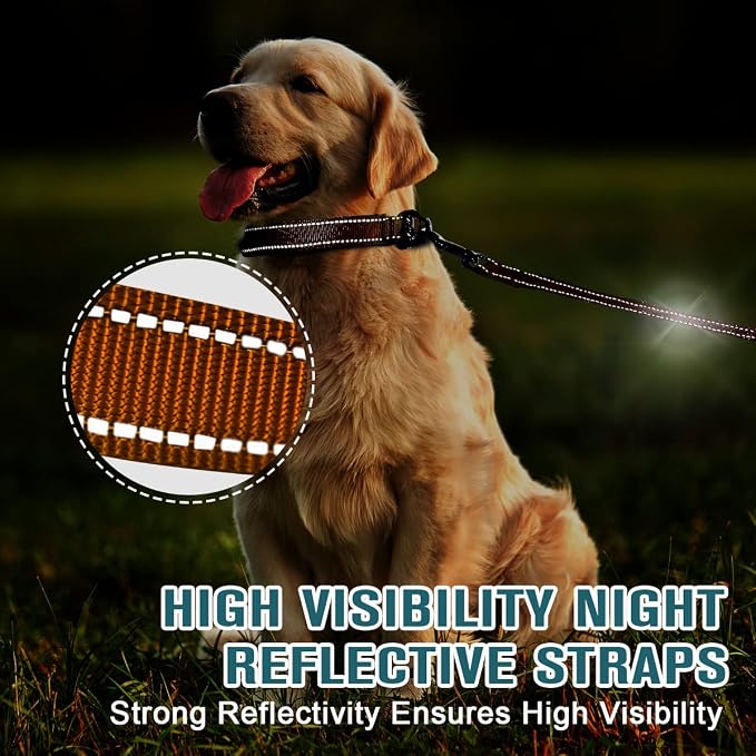 Dog Collar for Medium Small Large Dogs Reflective with Leash,Collar and Leash for Dogs,Soft Neoprene Padded 2 Pack(Orange,S)