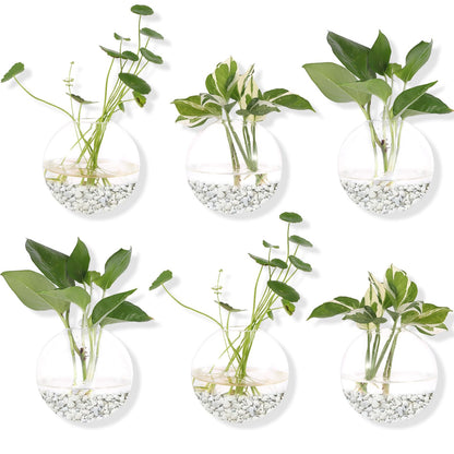 Hanging Wall Planters Pack of 6 Glass Plant Pots Round Wall Vases for Flowers Hanging Propagation Station Glass Plant Holder Wall Terrariums Plant Container