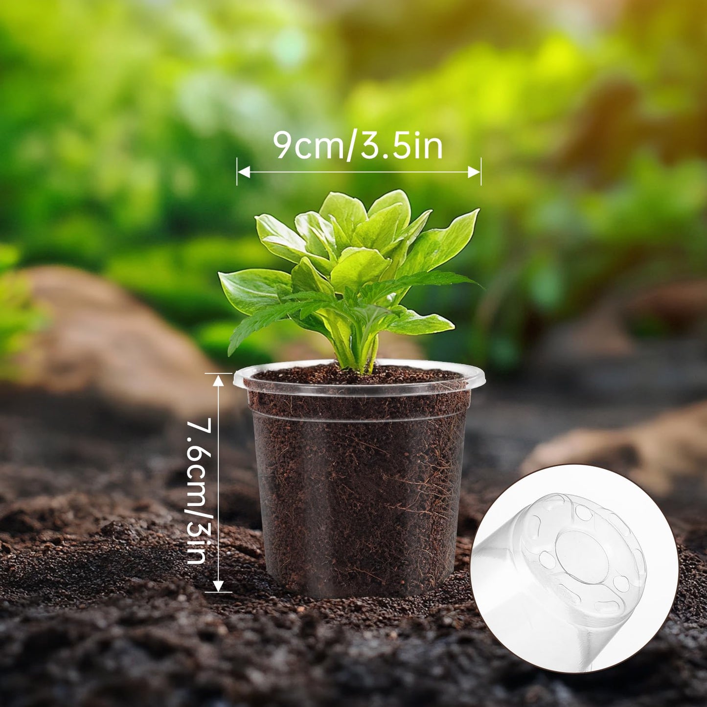 WandaQueen 30 Packs 3.5 Inch Reinforced Clear Nursery Pots for Plants with Drainage Holes, High Transparency Planting Plastic Seedling Pots, Seedling Planter Seed Starter with 20 Plant Labels
