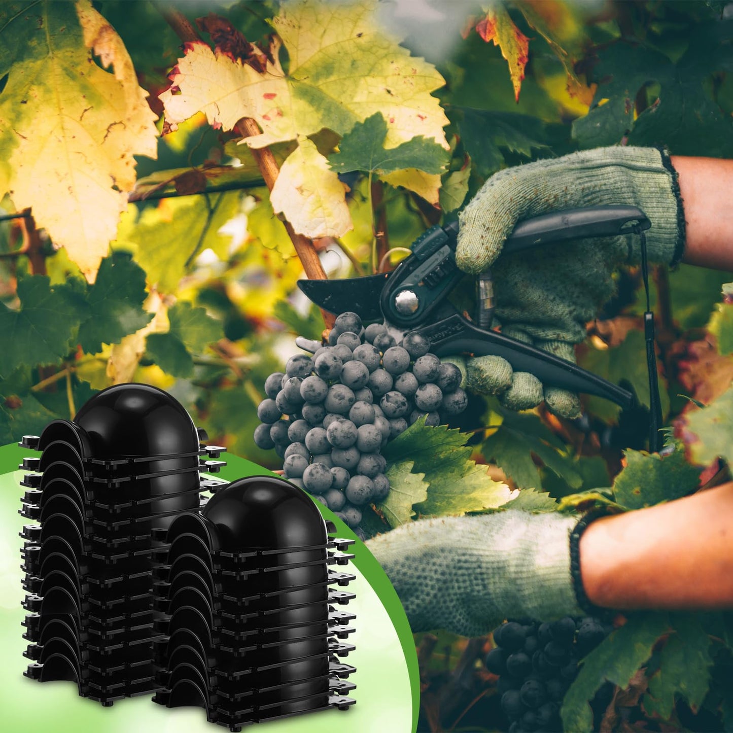 Tanlade 160 Pcs Plant Root Growing Box Small Air Layering Pods Propagation Balls Reusable Plant Rooting Device Black High Pressure Rooting Ball Grafting Tools for Tree Rooter Cuttings Seedlings