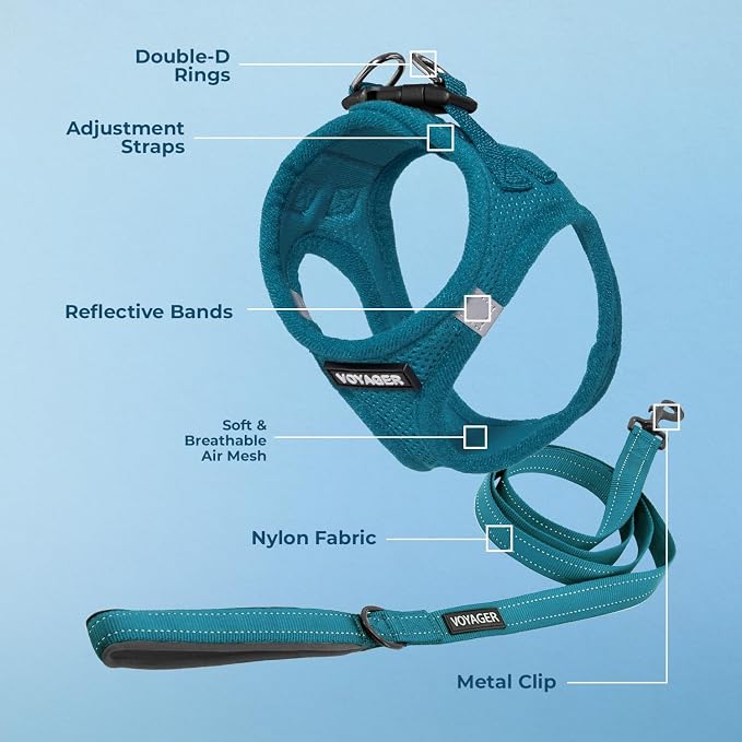 Best Pet Supplies Voyager Step-in Air All Weather Mesh Harness and Reflective Dog 5ft Leash Combo with Neoprene Handle, for Small, Medium and Large Breed Puppies - Turquoise, XXX-Small