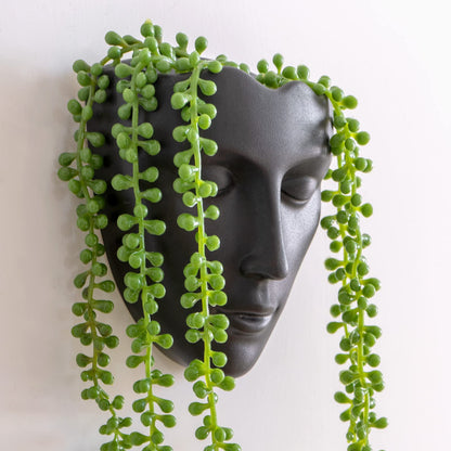 Notakia Face Planter Pot Wall Mounted Outdoor/Indoor Planter with Drainage for Succulents, Cactus, and Small Plants Unique Home Decor Gift for Friends and Family (Black)