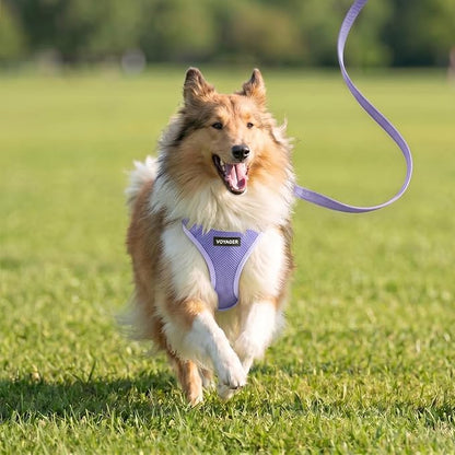 Best Pet Supplies Voyager Step-in Air All Weather Mesh Harness and Reflective Dog 5ft Leash Combo with Neoprene Handle, for Small, Medium and Large Breed Puppies - Lavender, M