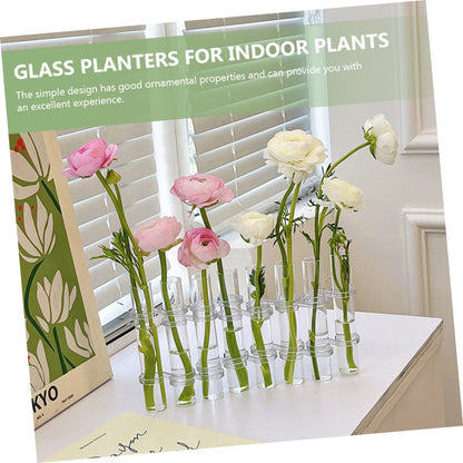 VICASKY Hydroponic Test Tube Vases 6-Piece Glass Plant Propagation Kit for Indoor Home Decor Wall Hanging Planter and Desktop Terrarium Arrangement